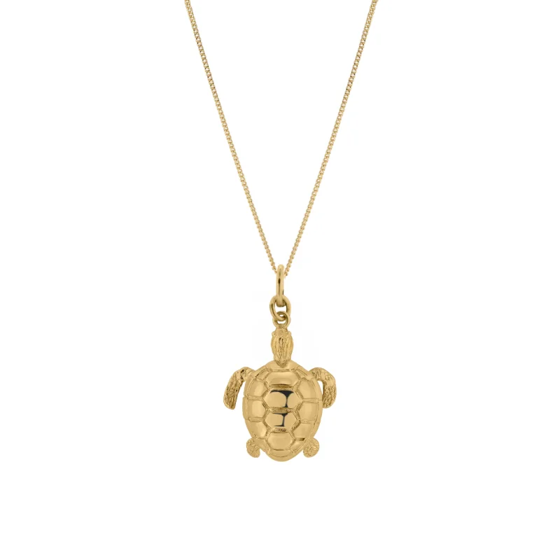 tortue groot