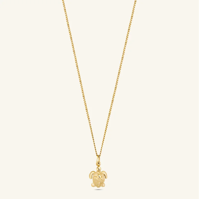 tortue mini